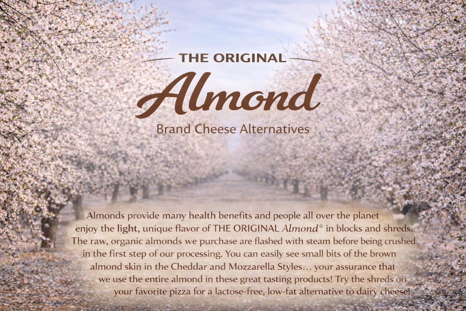 THE ORIGINAL ALMOND®